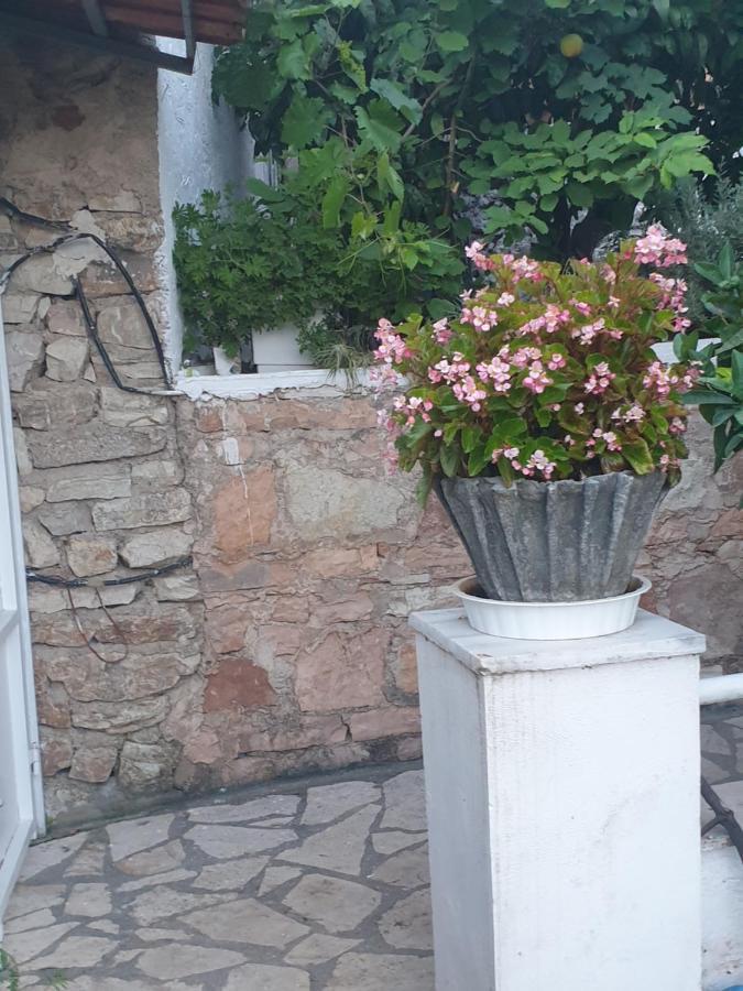 Rosemary House Konuk evi Saranda Dış mekan fotoğraf