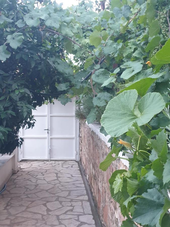 Rosemary House Konuk evi Saranda Dış mekan fotoğraf